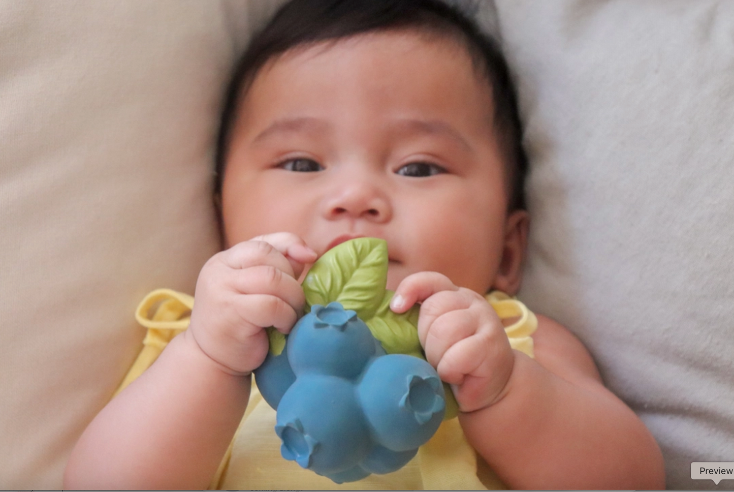 JERRY THE BLUEBERRY BABY TEETHER
