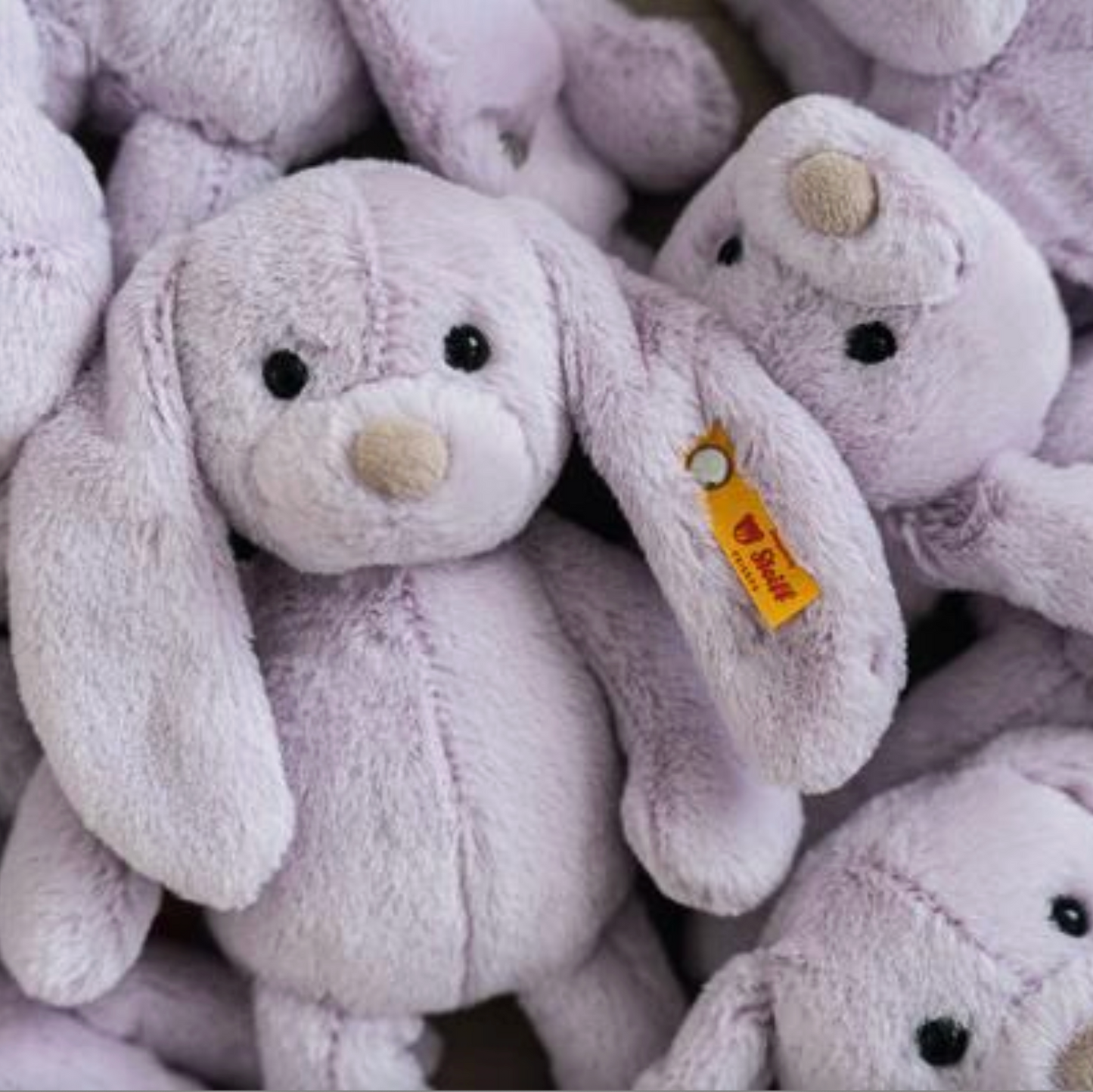 STIEFF TILDA RABBIT