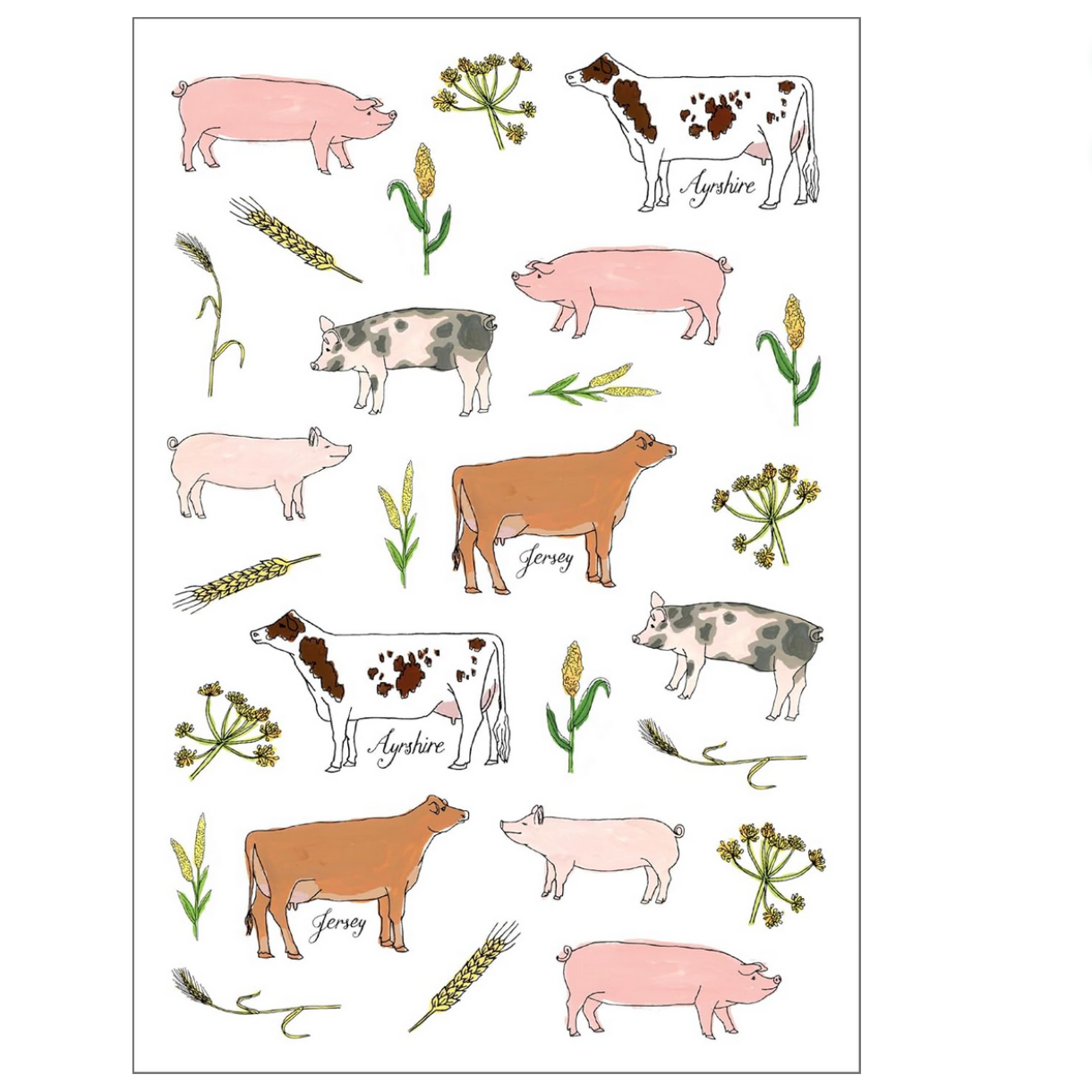 FARM ANATOMY STICKER BOOK