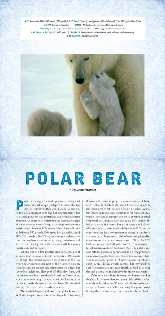 POLAR: A PHOTICULAR BOOK