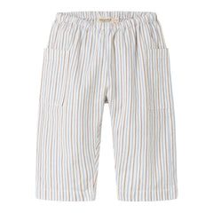 PANTO BLUE IRIS STRIPE PANT