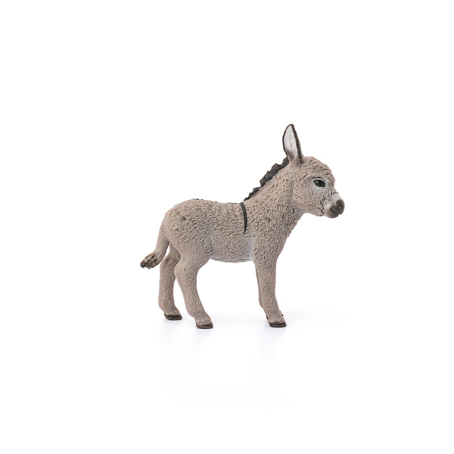 DONKEY FOUL