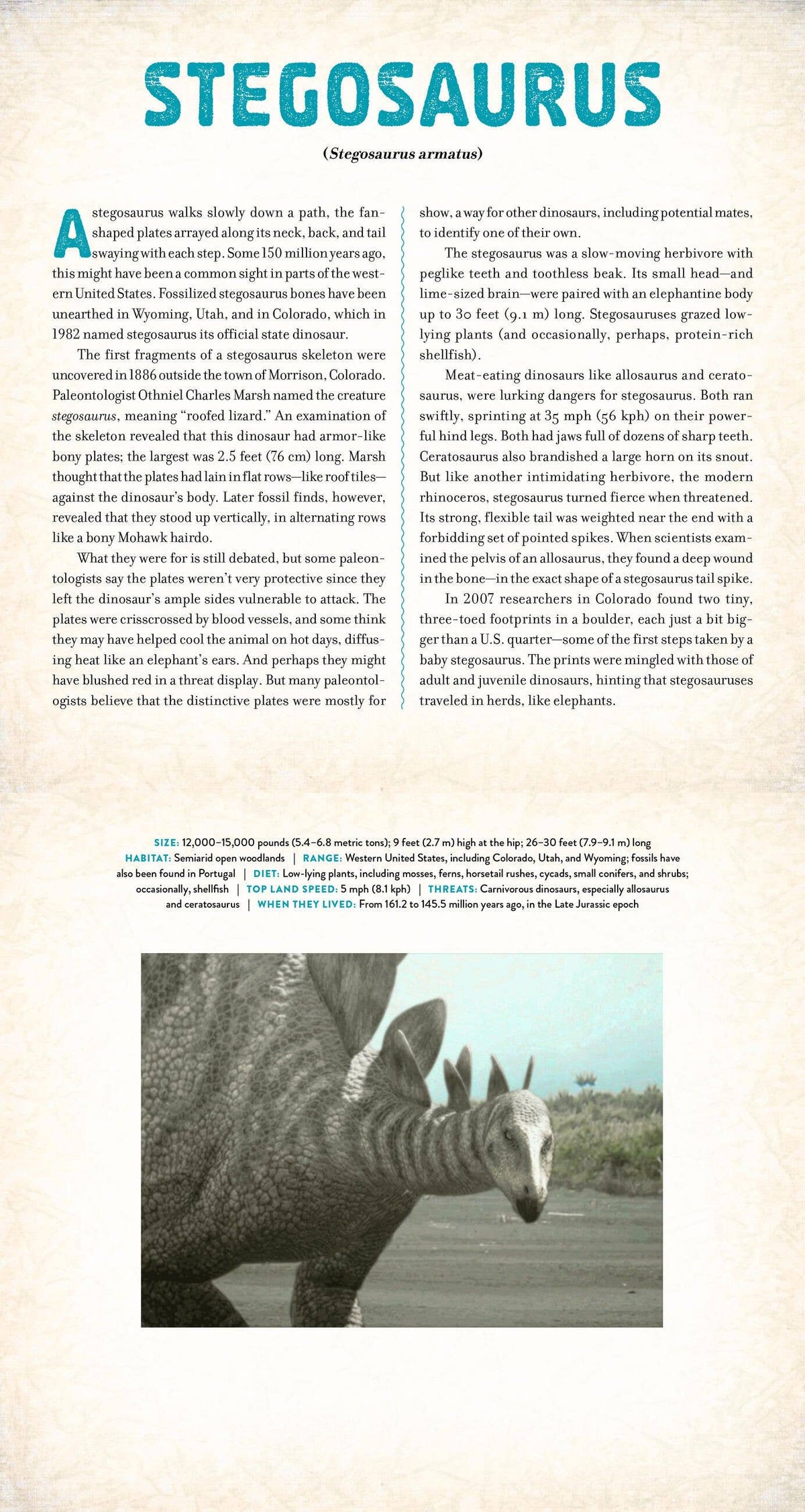 DINOSAUR: A PHOTICULAR BOOK