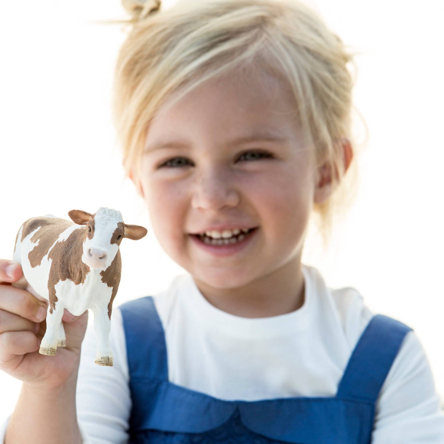 SIMMENTAL COW