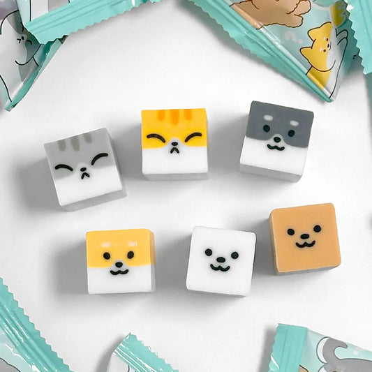 Set of small square erasers with animal faces on a white background