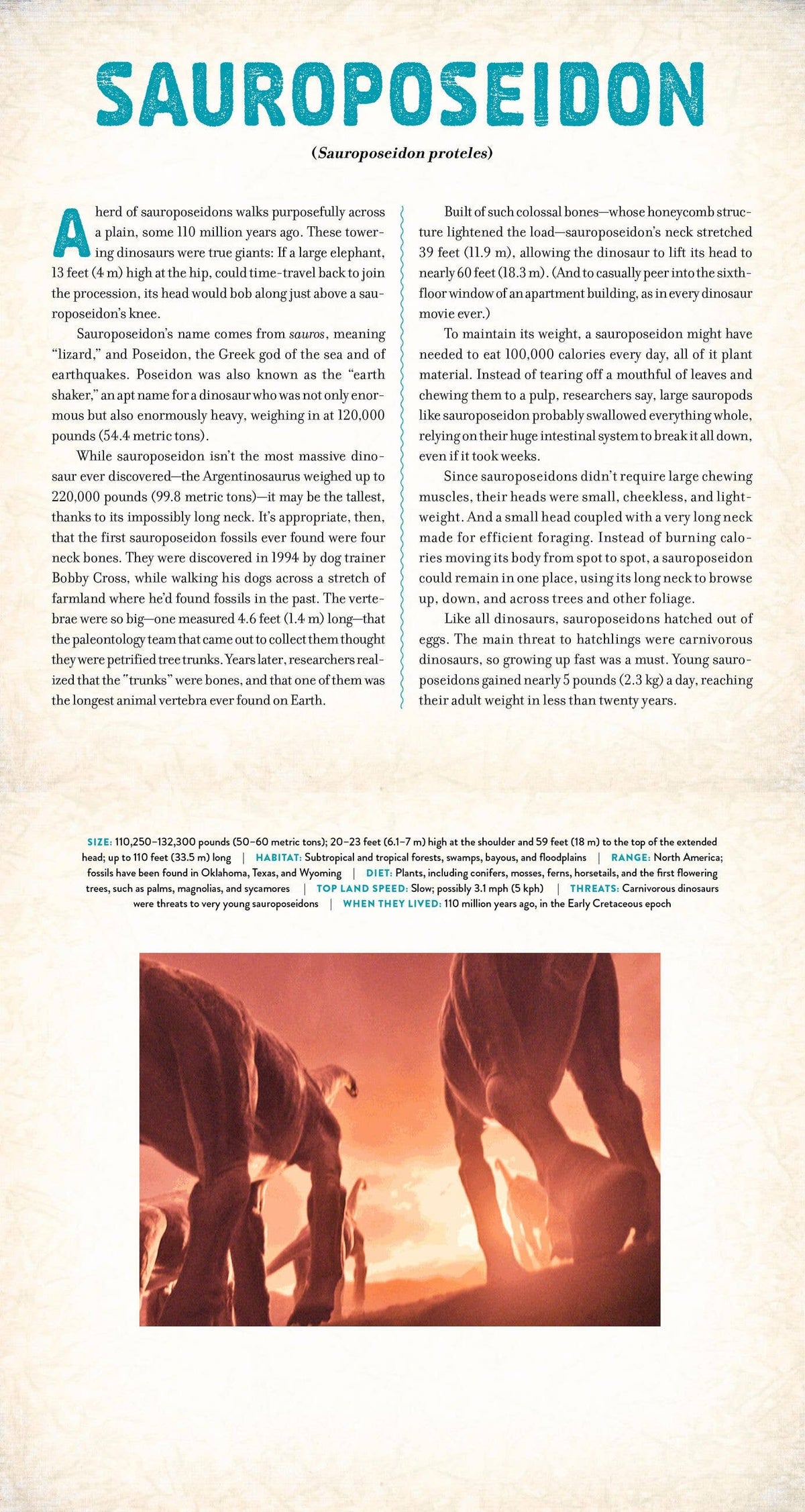 DINOSAUR: A PHOTICULAR BOOK