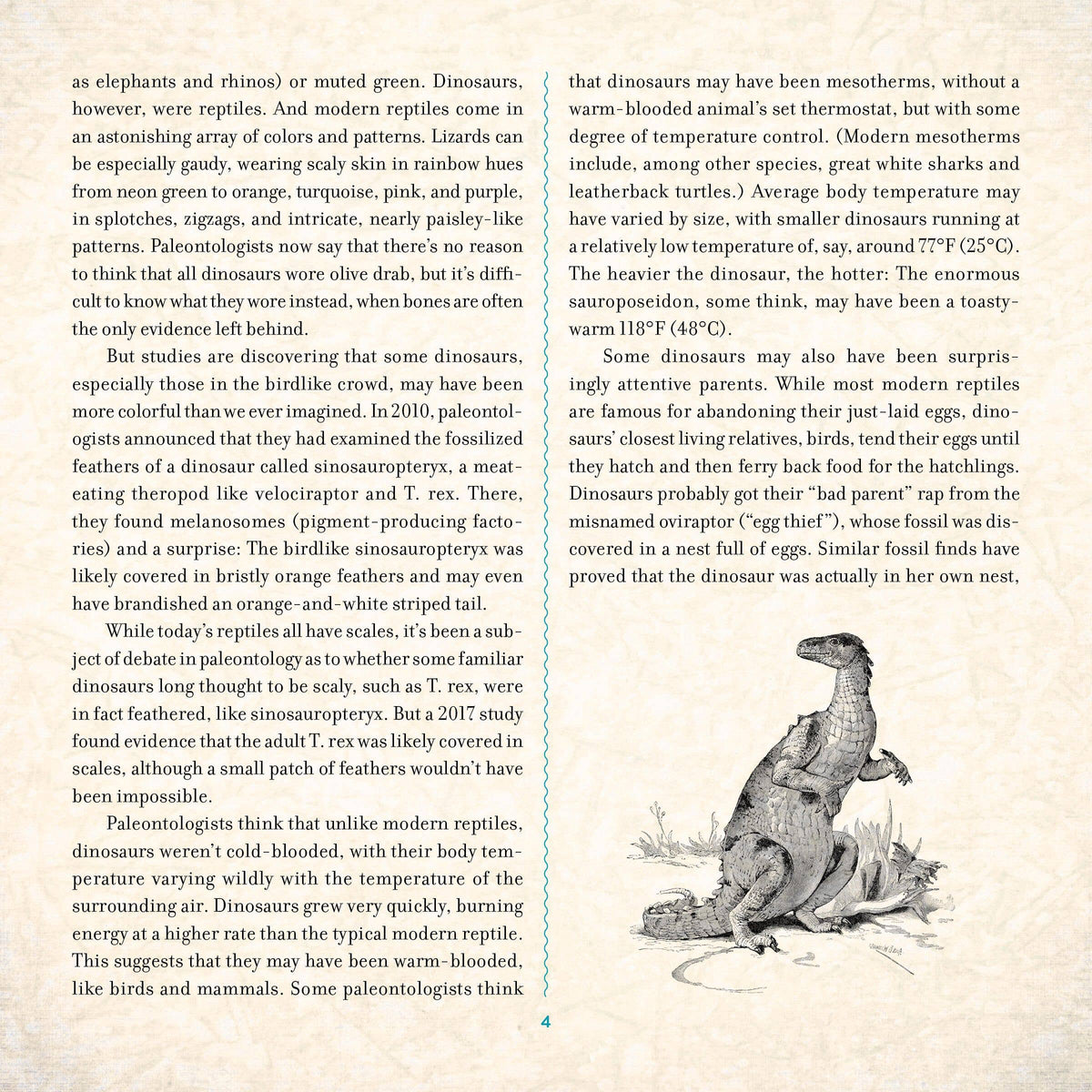 DINOSAUR: A PHOTICULAR BOOK