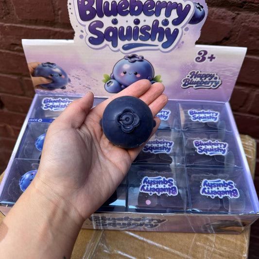 CRUNCHY BLUEBERRY SQUISHY