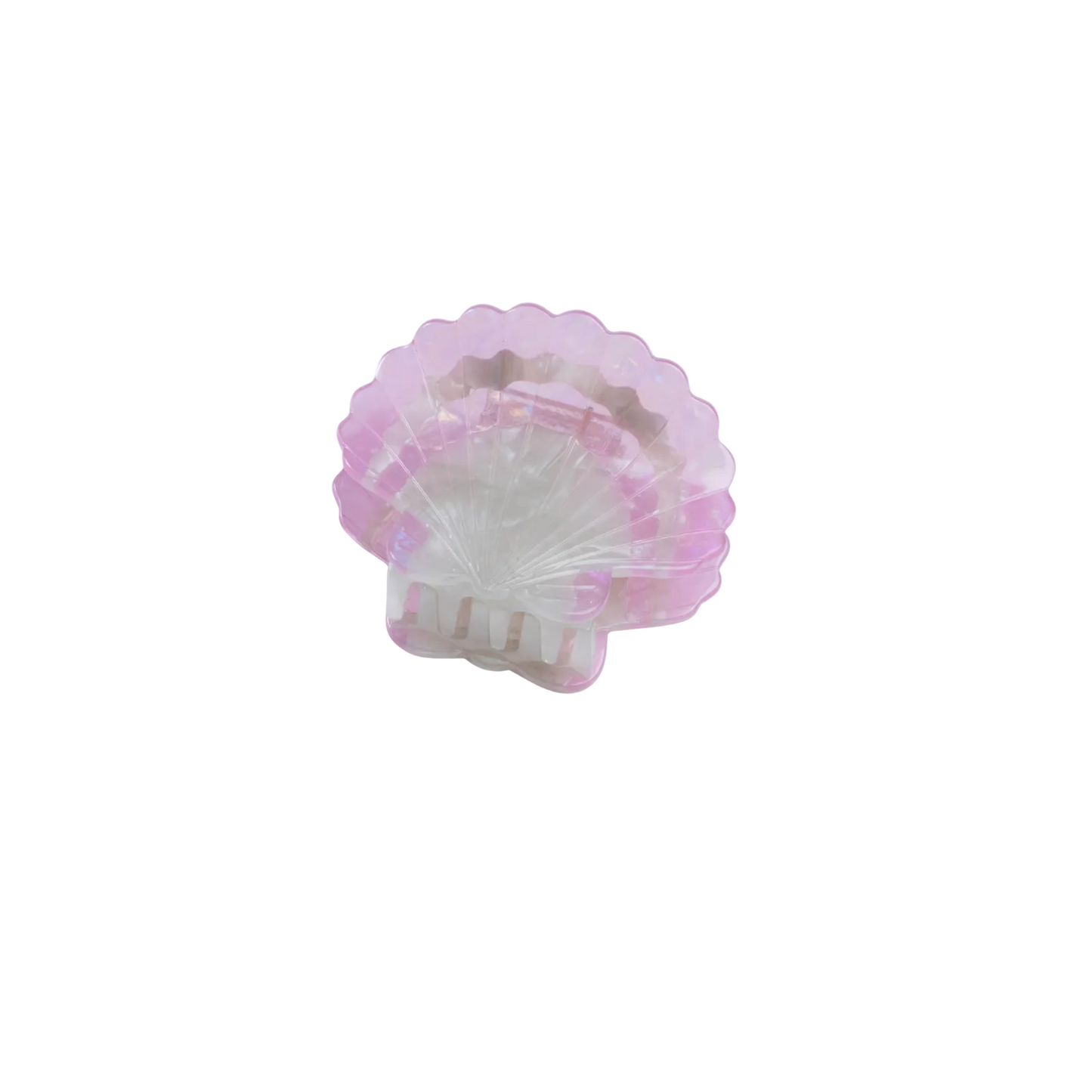 SCALLOP SHELL HAIR CLAW
