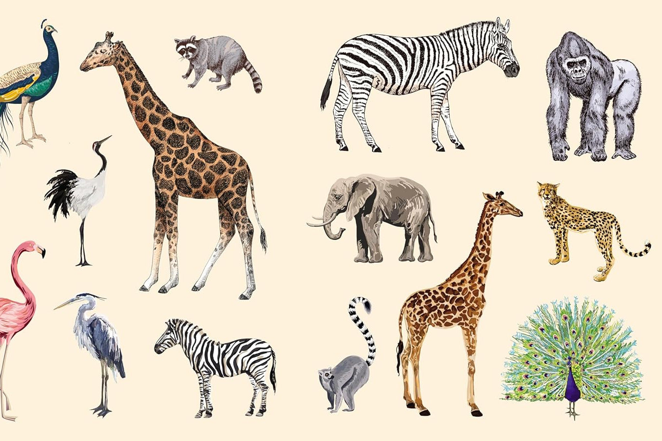 STICKER STUDIO: MENAGERIE ANIMAL KINGDOM GALLERY