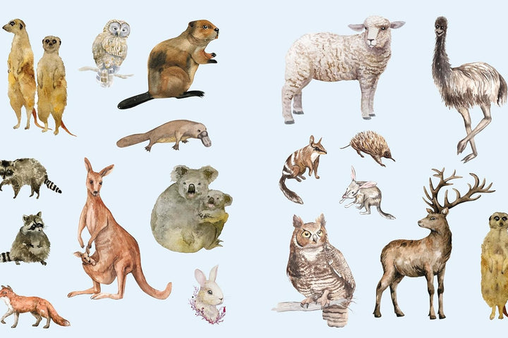 STICKER STUDIO: MENAGERIE ANIMAL KINGDOM GALLERY