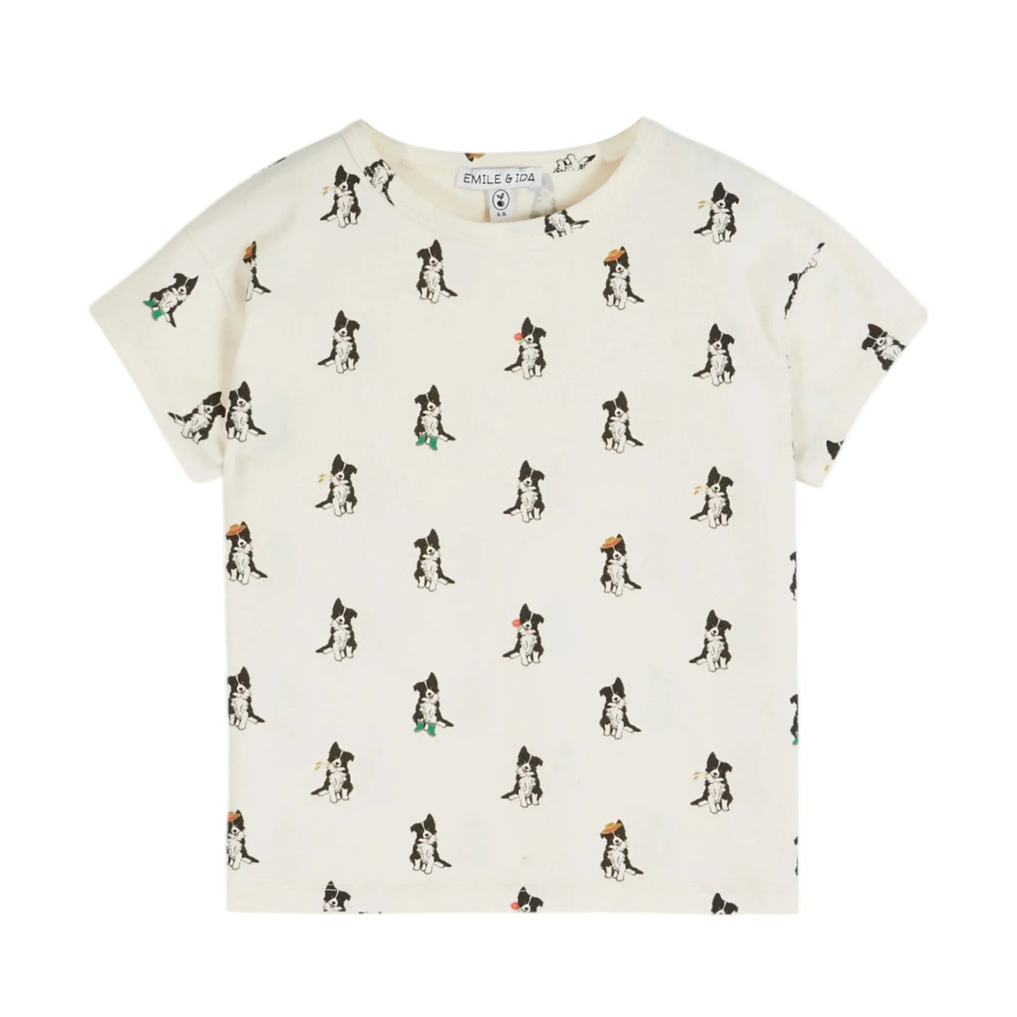 BORDER COLLIE BABY T SHIRT - CREAME