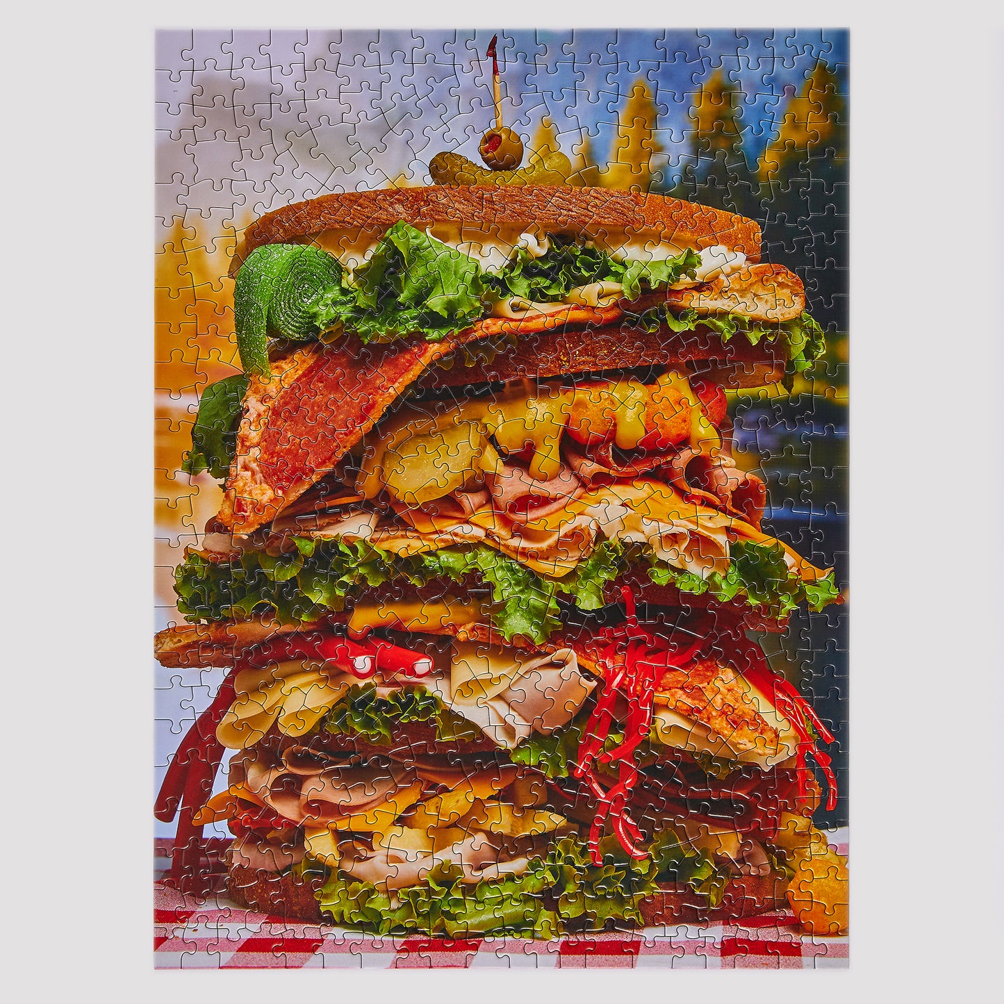 BIG SAMMY PUZZLE - 500 PIECES