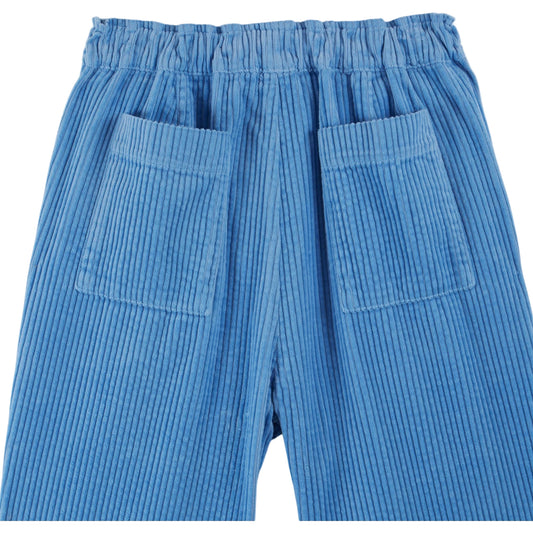 ICE BLUE CORDUROY PANT
