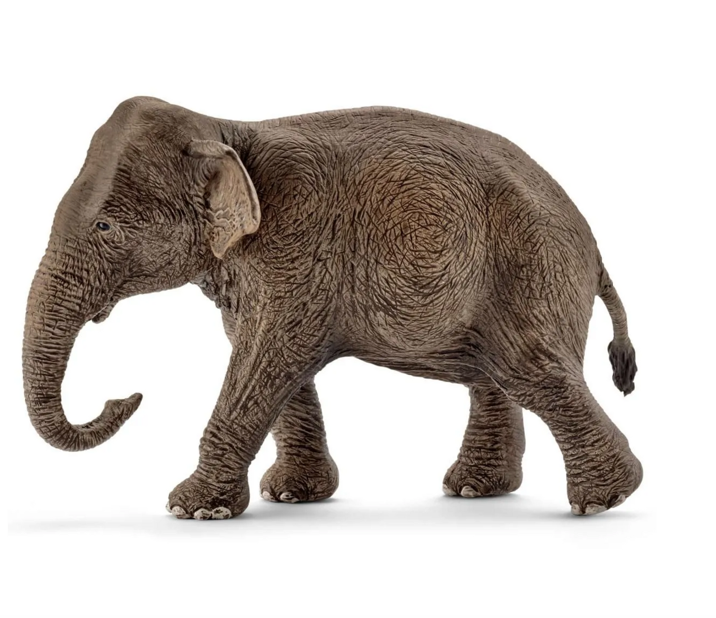 SCHLEICH ASIAN ELEPHANT FEMALE