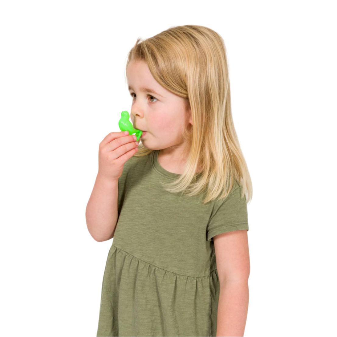 NEATO! RETRO BIRD WHISTLE