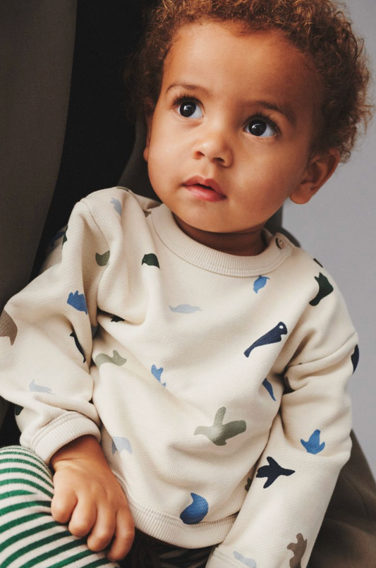 EMERY DINO SWEATSHIRT