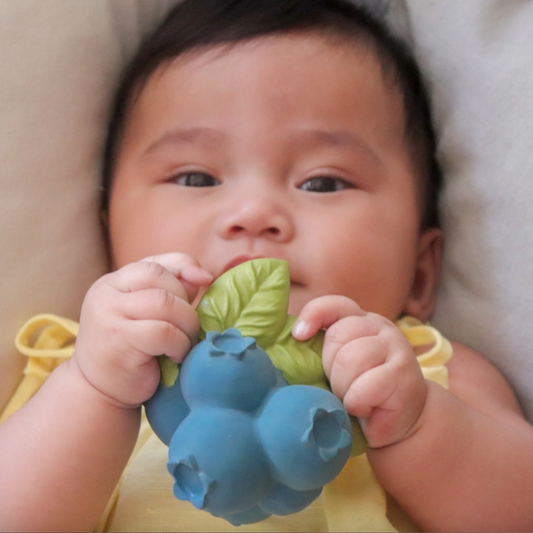 JERRY THE BLUEBERRY TEETHER