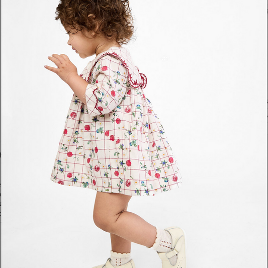 GIGI DRESS - POMEGRANATE PARADE