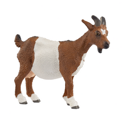 TWO TONE GOAT