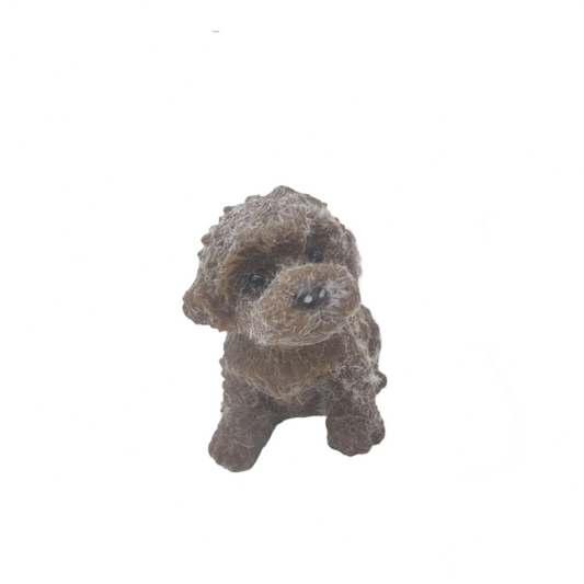 TABA SQUISHY  - CHOCOLATE BROWN DOG