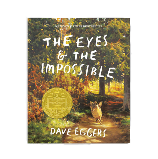 THE EYES AND THE IMPOSSIBLE
