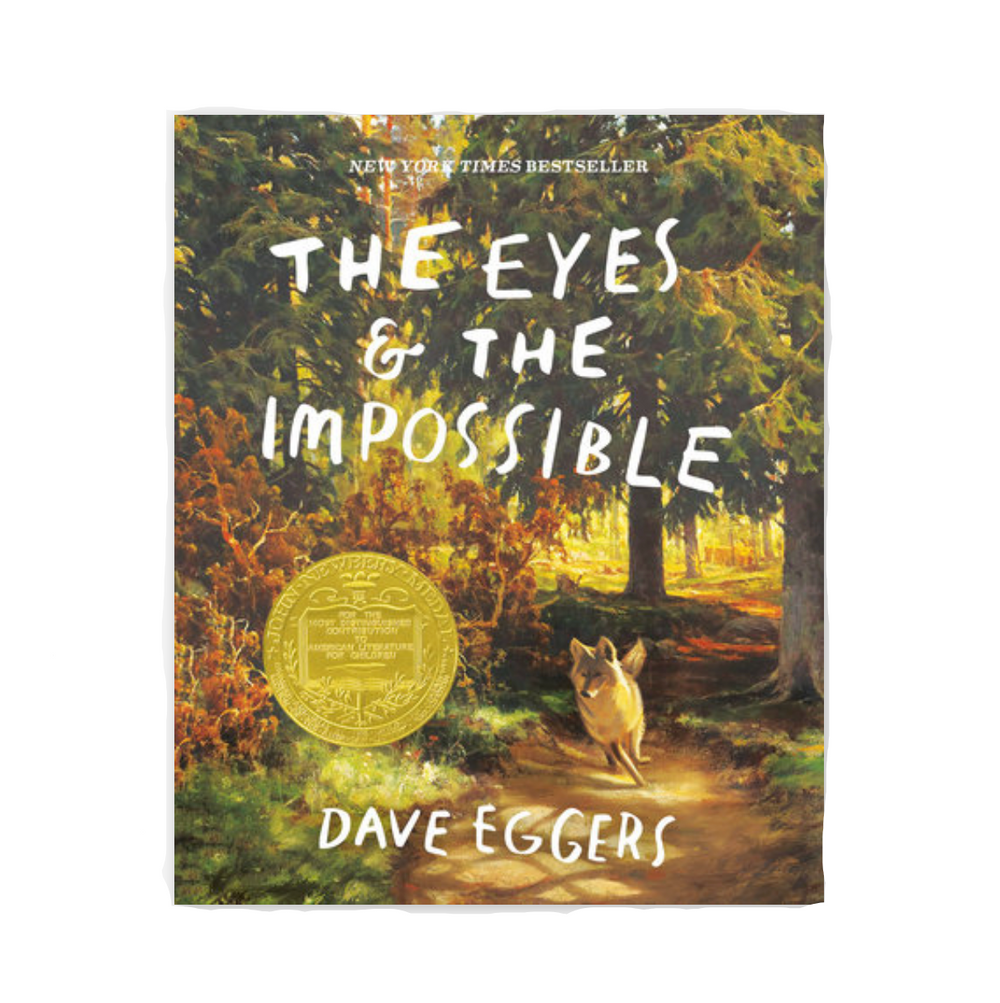 THE EYES AND THE IMPOSSIBLE