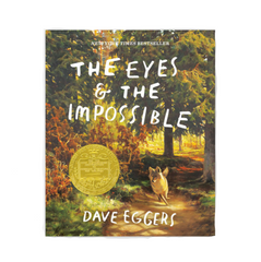 THE EYES AND THE IMPOSSIBLE