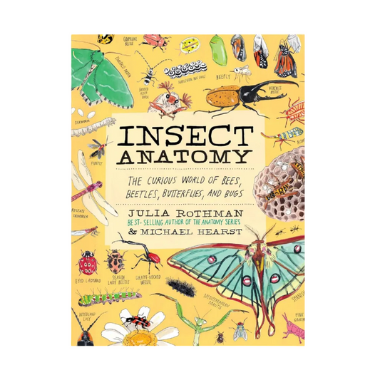 INSECT ANATOMY