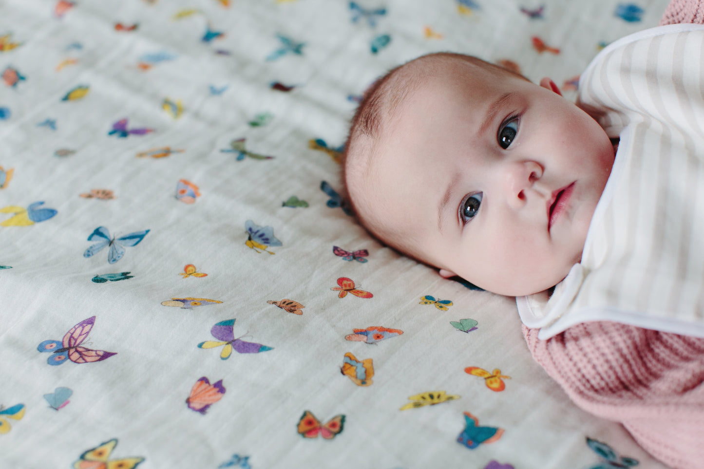 BUTTERFLY GAUZE BLANKET SHAWL - WHITE