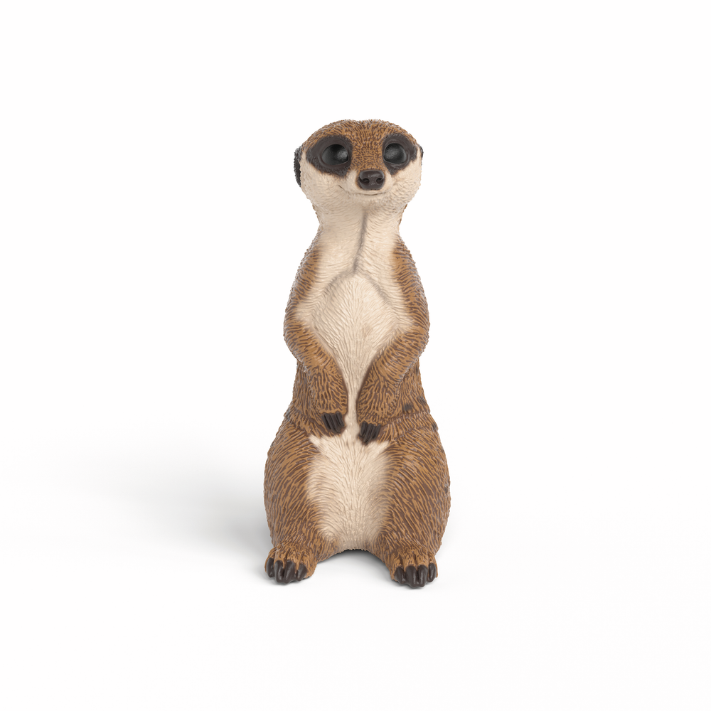 MEERKAT