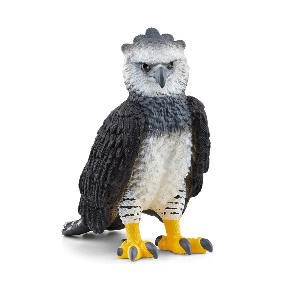 HARPY EAGLE BIRD OF PREY