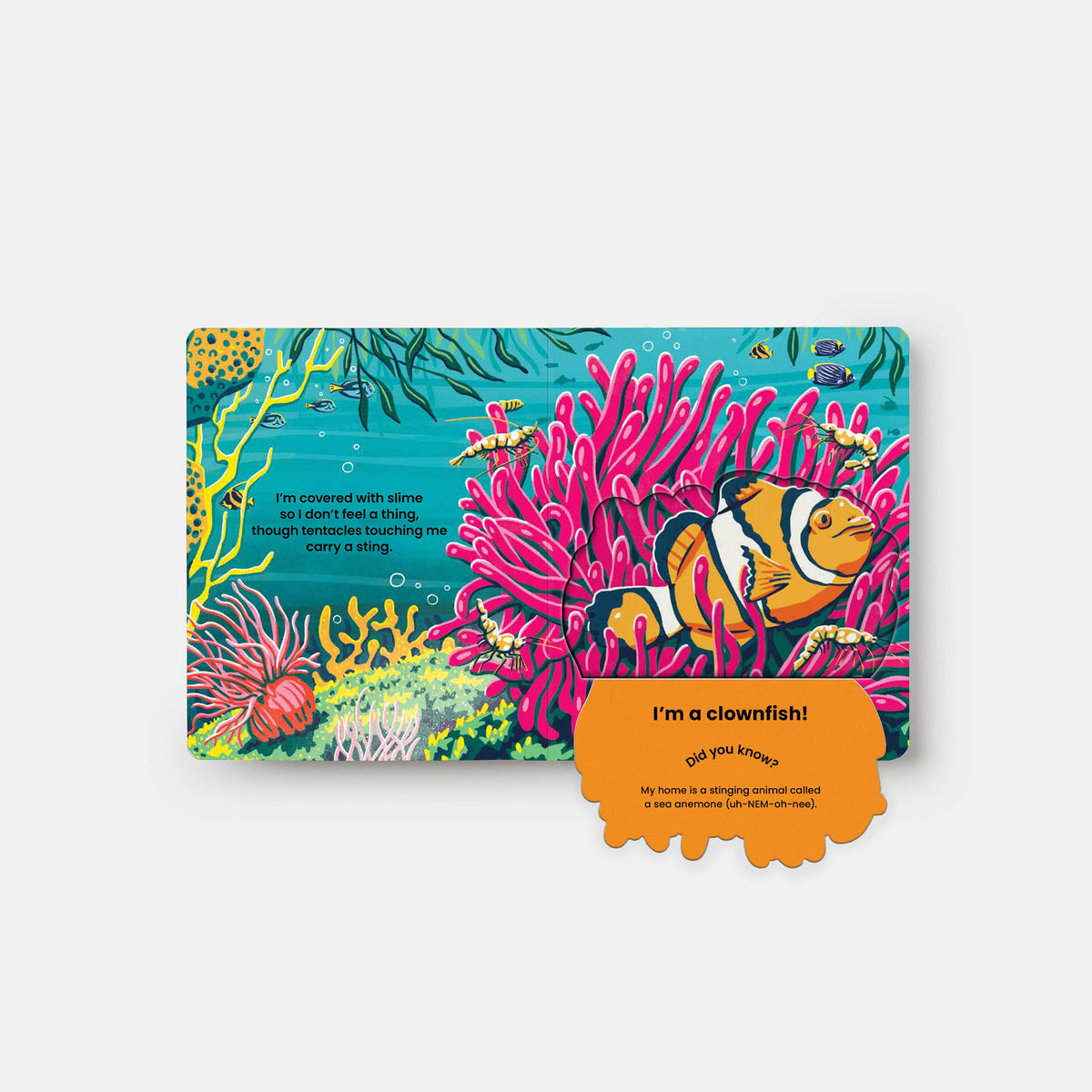 WHO'S HIDING? Under the Sea: A Lift-the-Flap Book