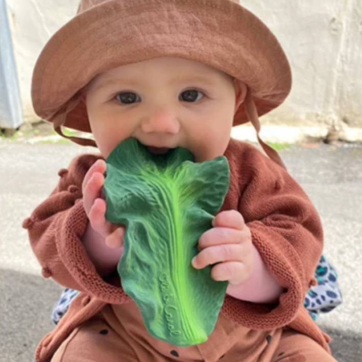 KENDALL THE KALE TEETHER & BATH TOY