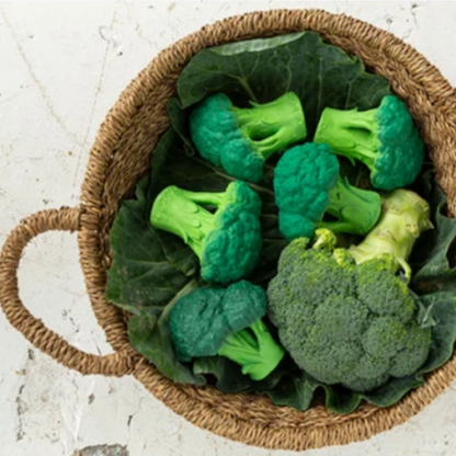 BRUCY THE BROCCOLI TEETHER & BATH TOY