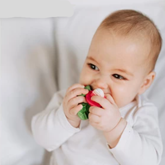 RAMONITA THE RADISH MINI-TEETHER & BATH TOY