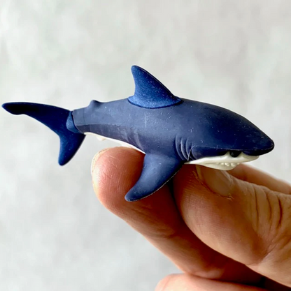 SHARK IWAKO ERASER