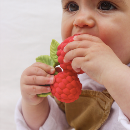 VALERY THE RASPBERRY TEETHER & BATH TOY