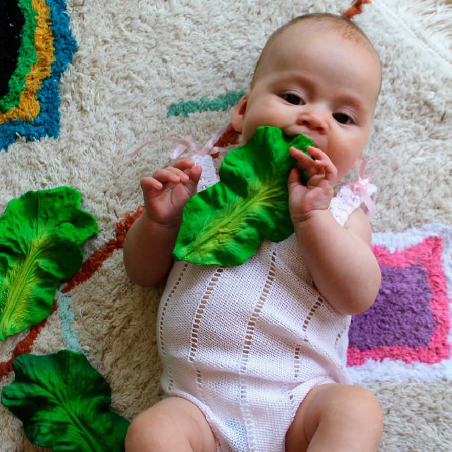 KENDALL THE KALE TEETHER & BATH TOY