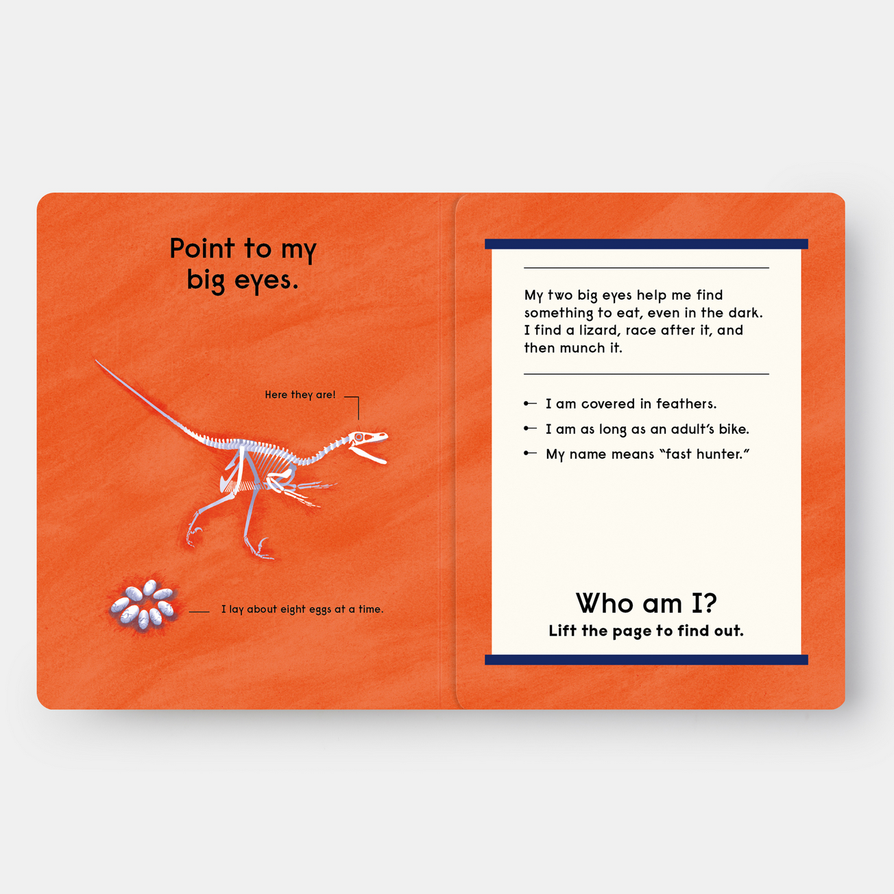 WHO'S THAT DINOSAUR? AN ANIMAL GUESSING GAME